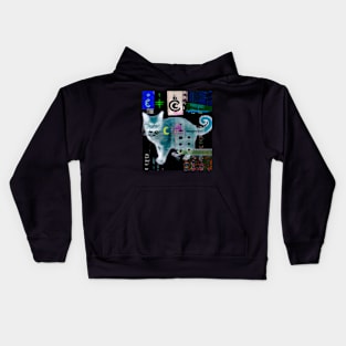 Catmoon Kids Hoodie